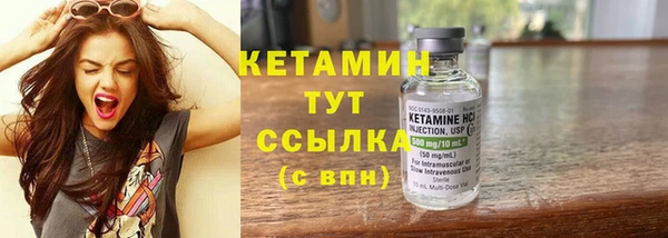 молекула духа Вяземский