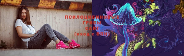 спиды Михайлов