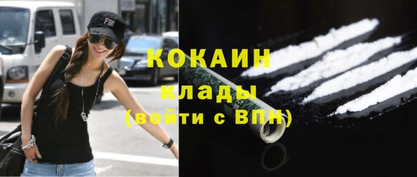 спиды Михайлов