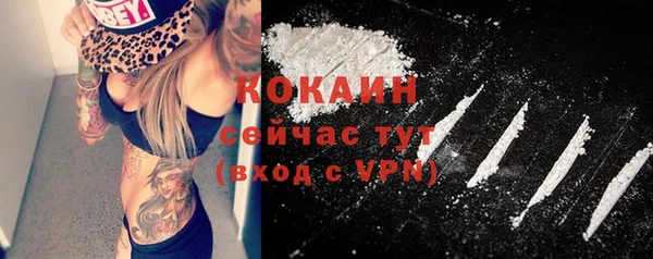 спиды Михайлов