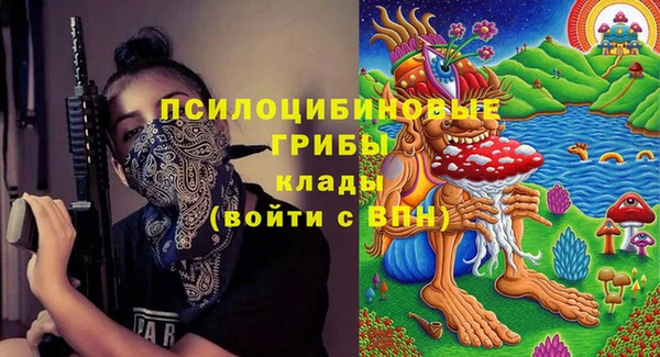 спиды Михайлов