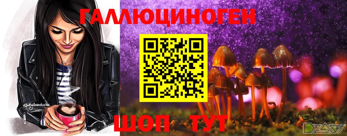 Галлюциногенные грибы Cubensis  Сунжа 