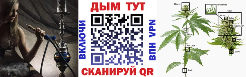 Шишки марихуана семена  магазин    Сунжа 