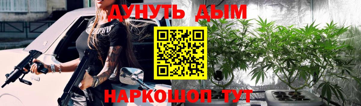 Конопля MAZAR Сунжа