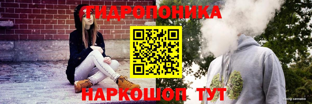 Шишки марихуана Amnesia  Сунжа  МАРИХУАНА Amnesia 